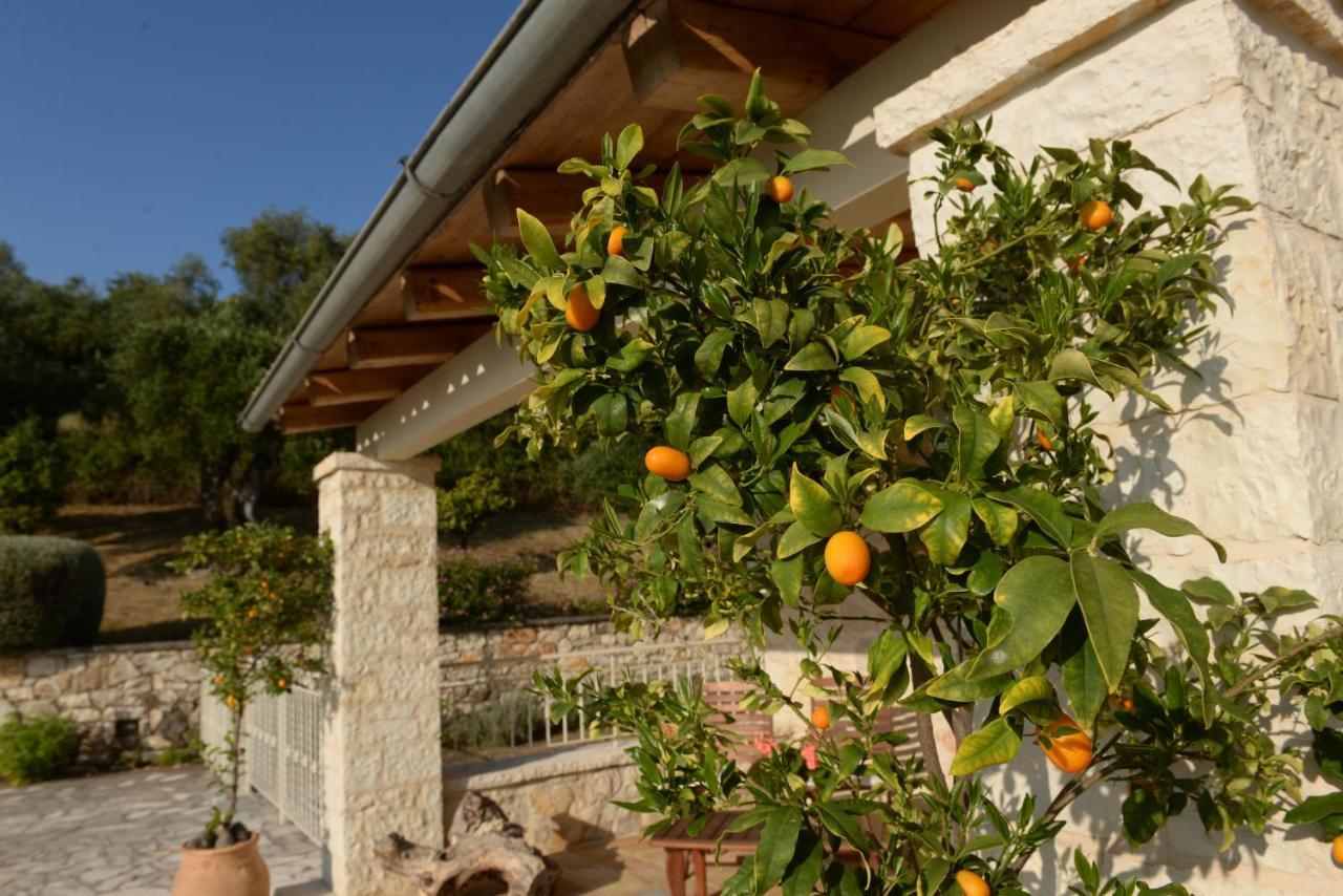 Villa Melanthi Kassiopi Corfu エクステリア 写真